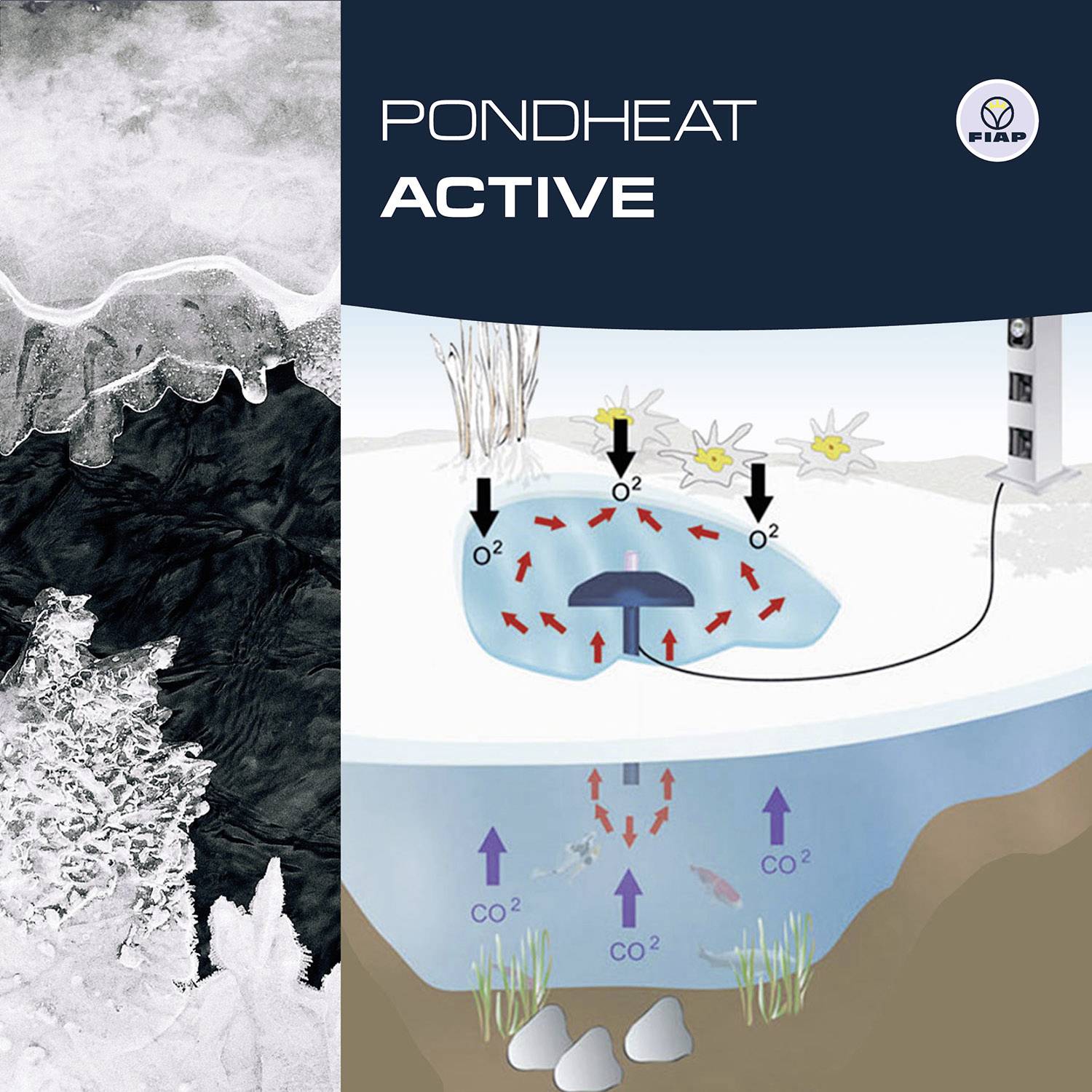 'PONDHEAT ACTIVE' dijagram prikazuje izmjenu topline u ribnjaku. Gore: Sunce i snijeg, dolje: kisikov ciklus i infracrvena dubinska toplina.