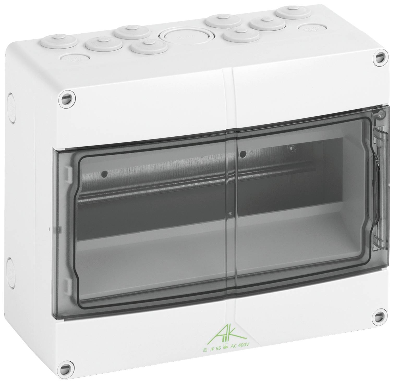 Spelsberg 73541201 AK 12 Distributiekast Opbouw (op muur) Aantal groepen: 12 Aantal rijen: 1 Inhoud: 1 stuk(s)