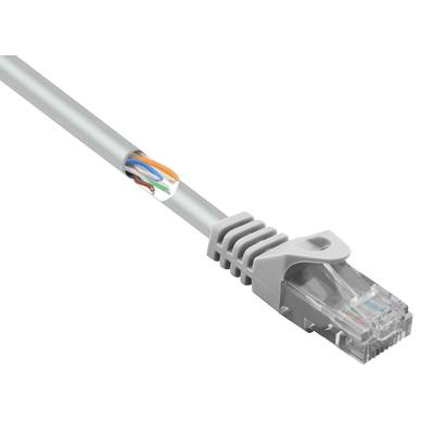 Basetech BT-2269096 RJ45 mrežni kabel, Patch kabel CAT 5e U/UTP 10.00 m siva sa zaštitom za nosić 1 St.