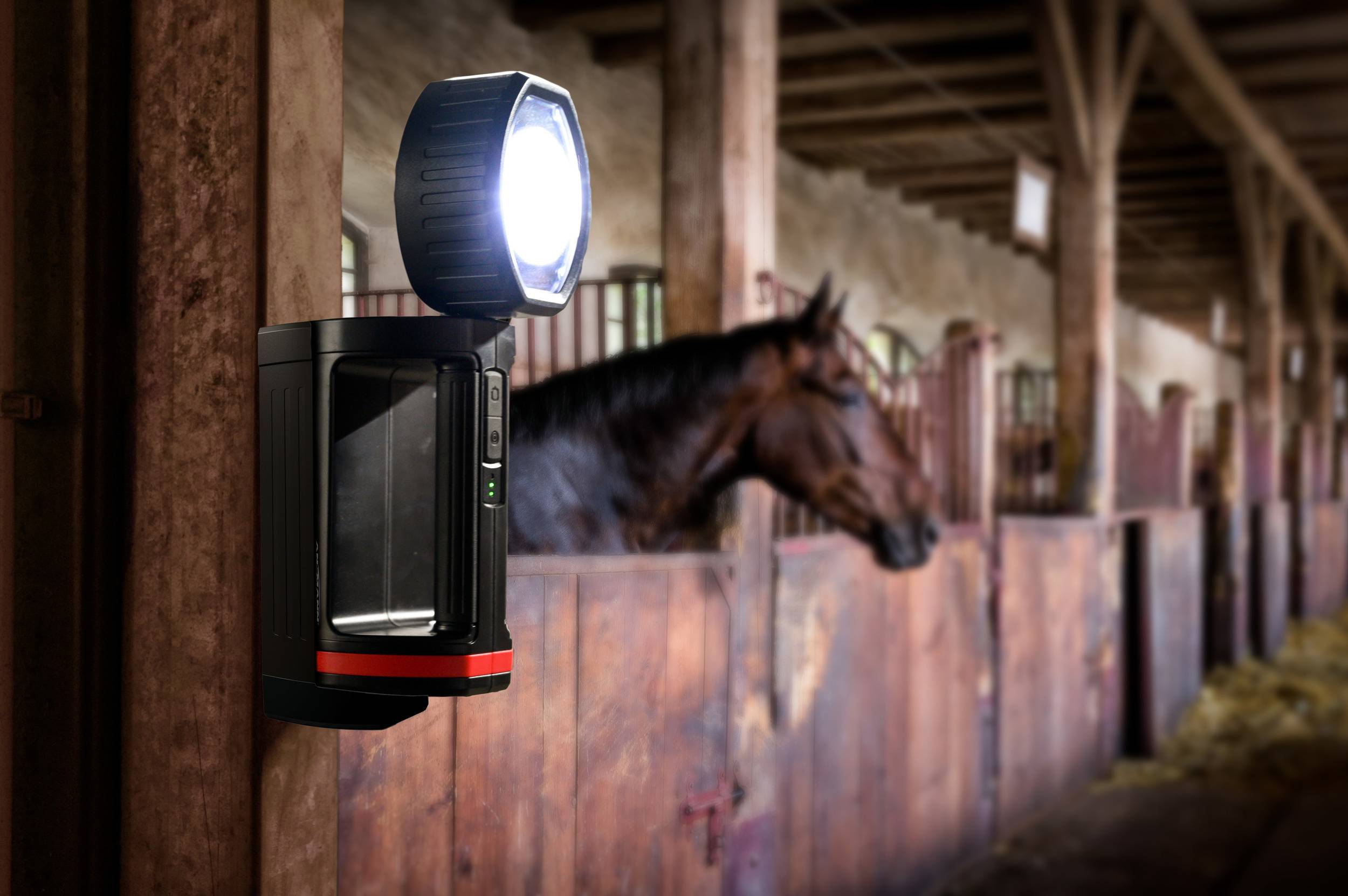 "Sjajna u štali" prikazuje osvjetljenu lampu montirano na drvenom zidu konjske staje, dok konj stoji u pozadini.