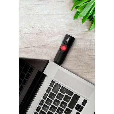 Crni USB stick s crvenim čepom uključen je u prijenosno računalo koje leži na drvenom stolu pored zelenih listova.