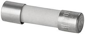 Weidmüller 0430300000 G 20/0.10A/F Buiszekering Inhoud 10 stuk(s)