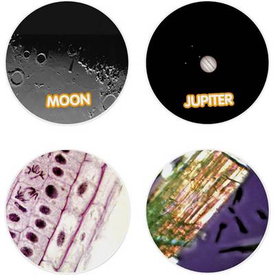 Četiri okrugle slike: Gore lijevo udarni krateri na Mjesecu s tekstom 'MOON', gore desno planeta Jupiter s tekstom 'JUPITER', dolje lijevo biljne stanice, dolje desno mineralna struktura.