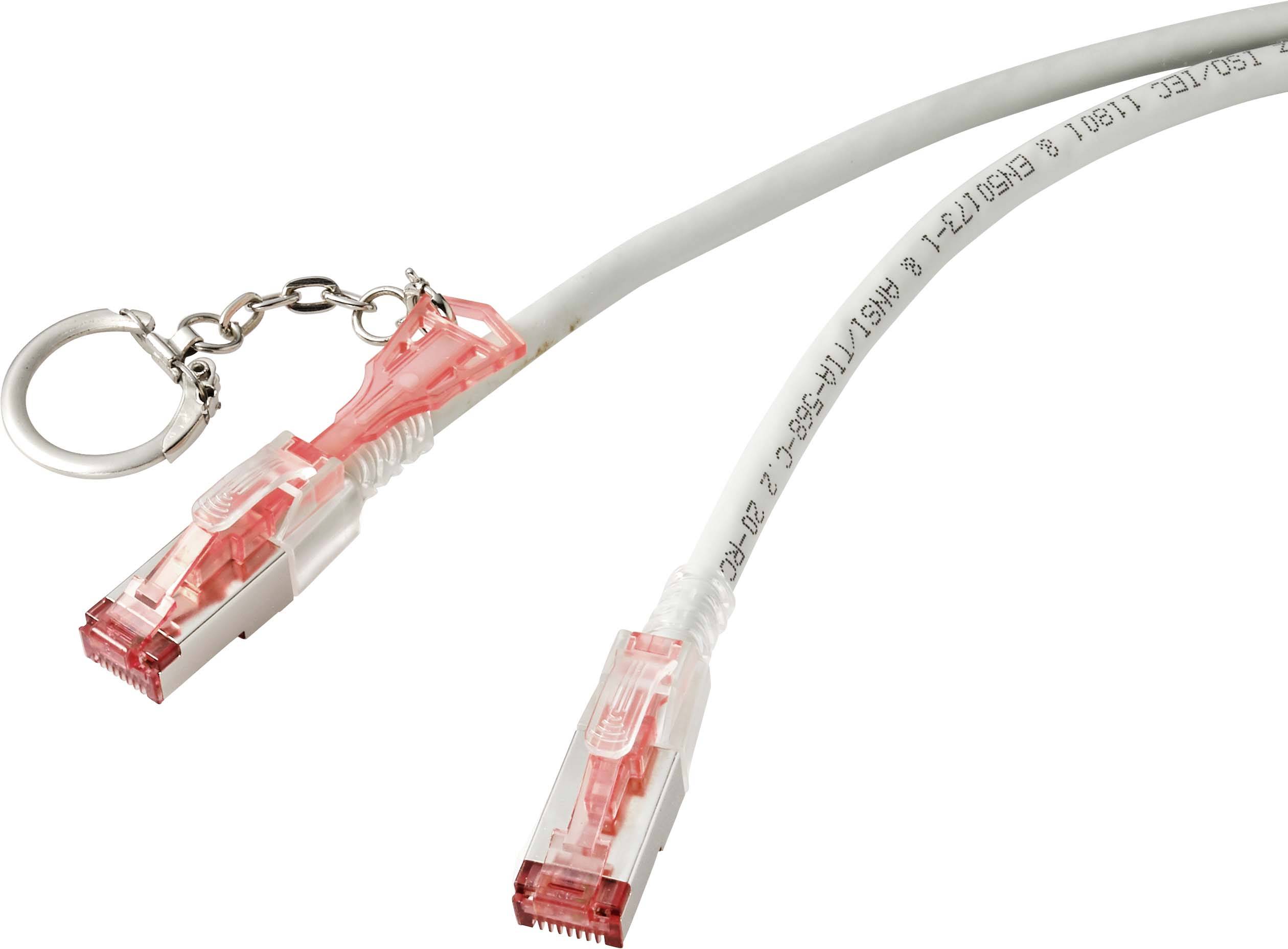 Renkforce RF-4533114 RJ45 mrežni kabel, Patch kabel CAT 6a S/FTP 1.00 m siva zaključan 1 St.-1