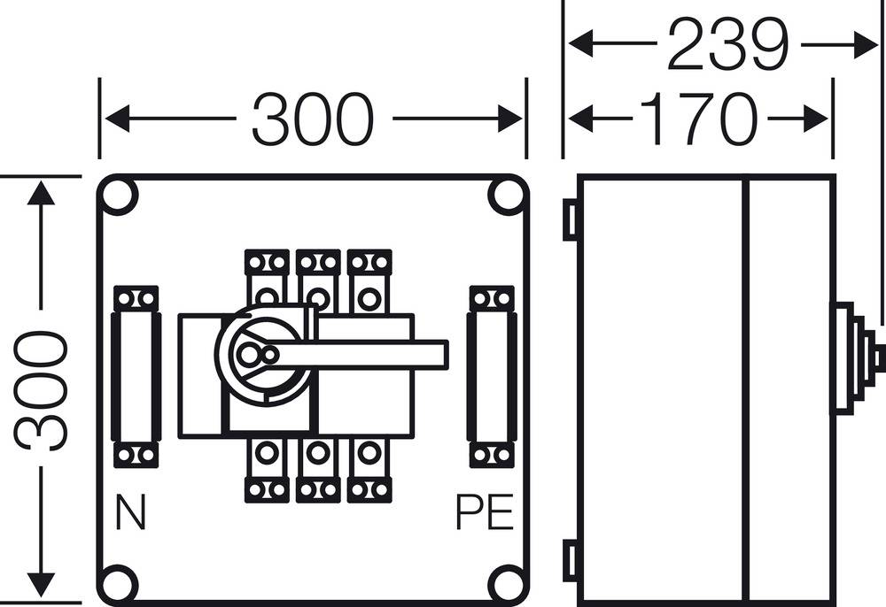 Tehnički nacrt električnog prekidača u kućištu. Dimenzije su 300x300 mm, dubina 170 mm, širina 239 mm. Oznake za N i PE.