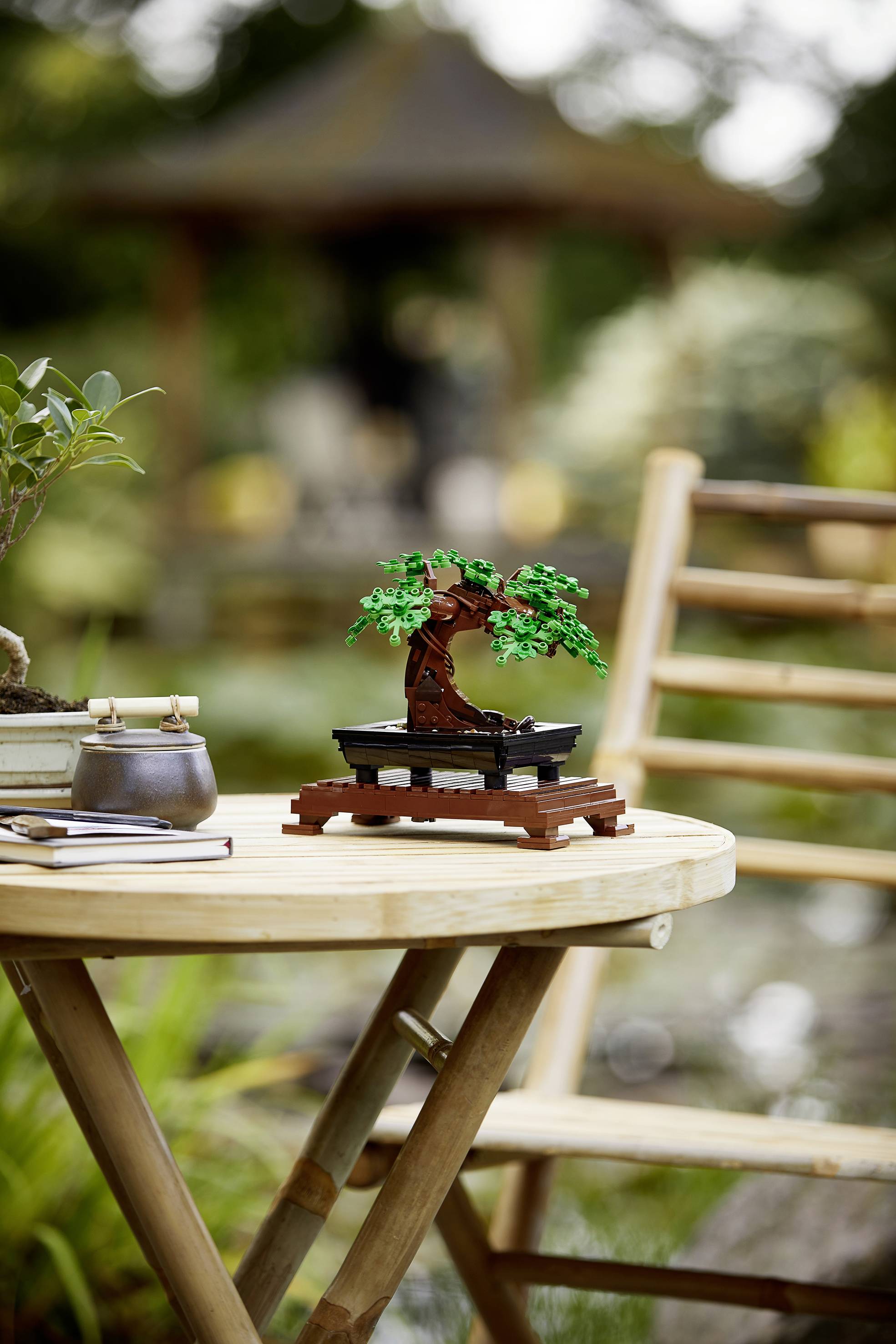 Model bonsai stabla na malenom okruglom drvenom stolić vani, pored čajnika. U pozadini paviljon u vrtu.