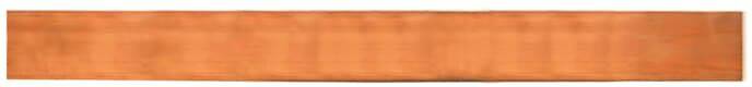 Striebel & John 2CPX039115R9999 ZX101B verzamelrail 1-veld Cu 12x5 Koperrail 250 A 1 stuk(s)