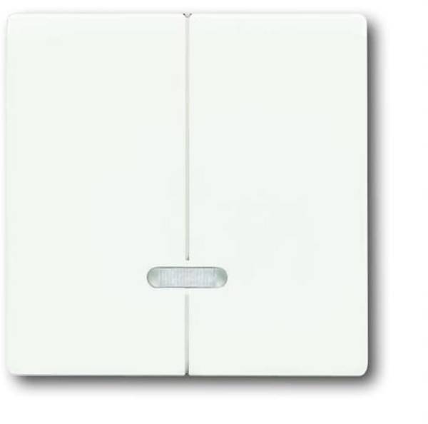 Busch-Jaeger 6545-884 2CKA006599A2964  2-struki (Š x V) 63 mm x 63 mm bez bijela, prometno-bijela 1 St. Piece