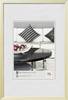 walther+ design AJ040G izmjenjivi okvir za slike Format papira: 30 x 40 cm (Š x V) 30 cm x 40 cm zlatna