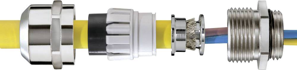 Wiska 10106134 Wartel Slagvast, Met trekontlasting, Met dichting M50 Messing (vernikkeld) Natuur 10 stuk(s)