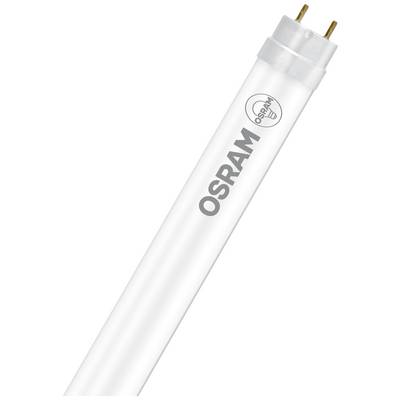 Bijela Osram fluorescentna cijev s dva metalna štifta na jednom kraju i utisnutim logotipom na površini.