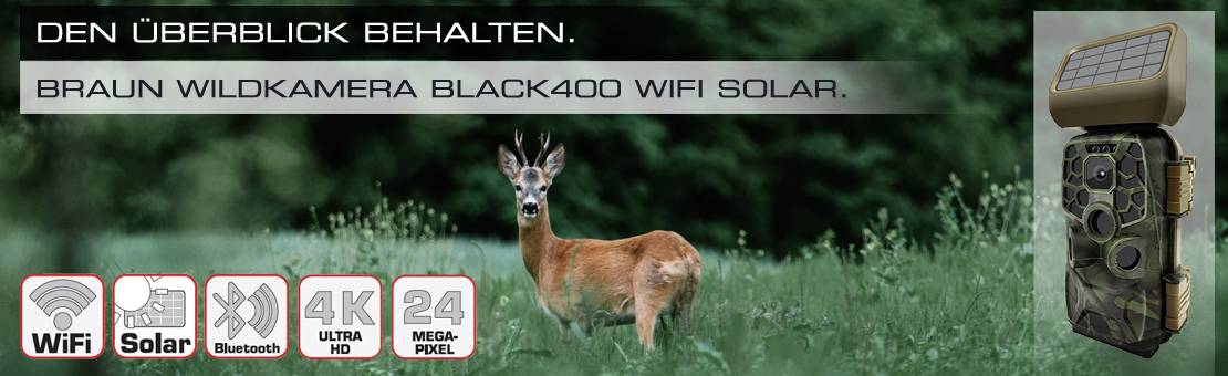 Košuta stoji u travi. Desno pored nje nalazi se smeđa divlja kamera Black400 sa solarnim napajanjem, opisana sljedećim funkcijama: WiFi, Bluetooth, 4K, 24 MP.
