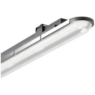 LED-svjetlosna traka, fotografirana sa strane, s prozirnim poklopcem, pogodna za industrijsku ili poslovnu rasvjetu.