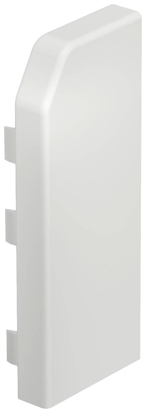 OBO Bettermann RD ESR40105 rws voor Eindstuk Wit 10 stuk(s)