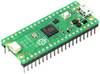 Raspberry Pi® Pico H mikrokontroler RP-PICO-H
