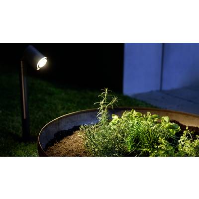 Vrtni zasad noću, osvjetljen lampom, s nasađenim začinskim biljem. Scena djeluje mirno i uredno uređeno.