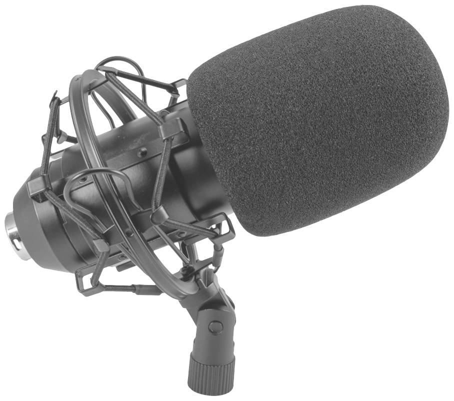Crni mikrofon s protuvjetrnjakom i mikrofonskim nosačem (spider). Često se koristi za profesionalne audio snimke.