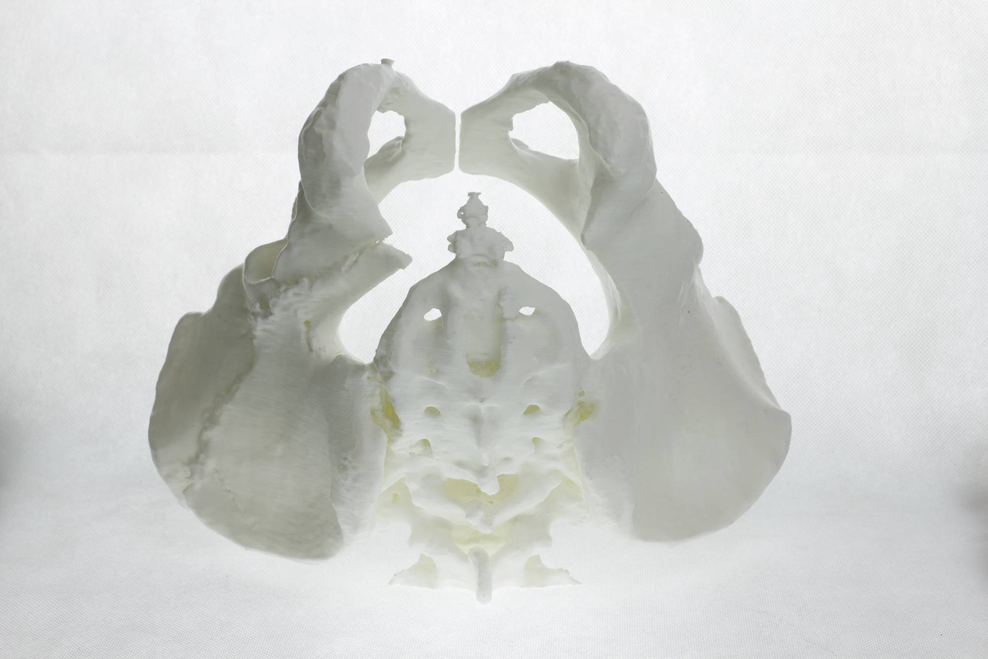 3D-isprintani model ljudske zdjelice, frontalni pogled. Prikazuje kompleksne koštane strukture i anatomske detalje.