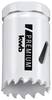kwb 598029 krunska pila 29 mm C45 1 St.