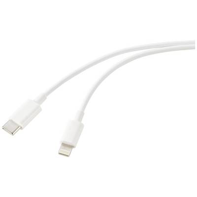 Dva bijela kabela s različitim priključcima: USB-C utikač i Lightning utikač.