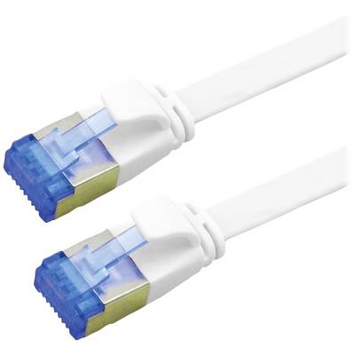 Dva bijela Ethernet kabela s plavim utičnicama, pogodna za mrežne povezivosti i internetske priključke.