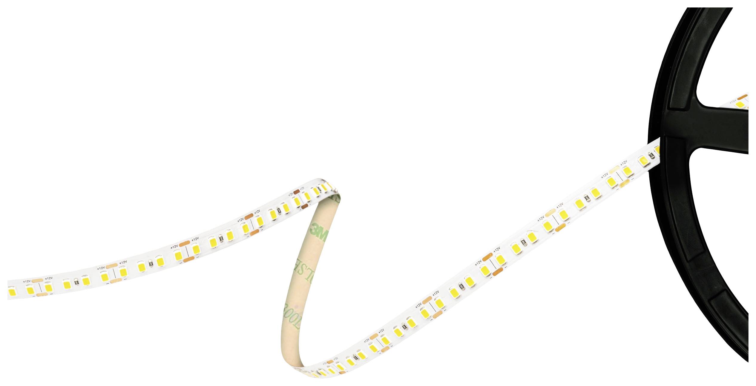 Barthelme 51541434 LED-strip 12 V 5000 mm Koudwit 5 m afbeelding