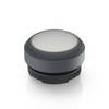 RAFI 1.30.270.005/2201 E-BOX IO-LINK svjetleće tipkalo s povratom (D x Š x V) 29.8 x 29.8 x 20.7 mm 1 St.