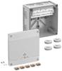 Spelsberg 40647001 razvodna kutija (D x Š x V) 152 x 152 x 85 mm siva IP66, IP67, IP69 1 St.
