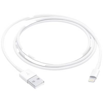 Bijeli USB punjač kabel s USB priključkom na jednom kraju i Lightning priključkom na drugom kraju.
