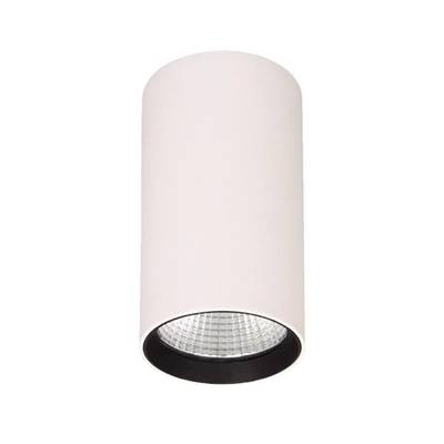 Bijela, cilindrična stropna lampa s crnim unutarnjim okvirom i vidljivim reflektorom, pogodna za osvjetljavanje unutarnjih prostora.