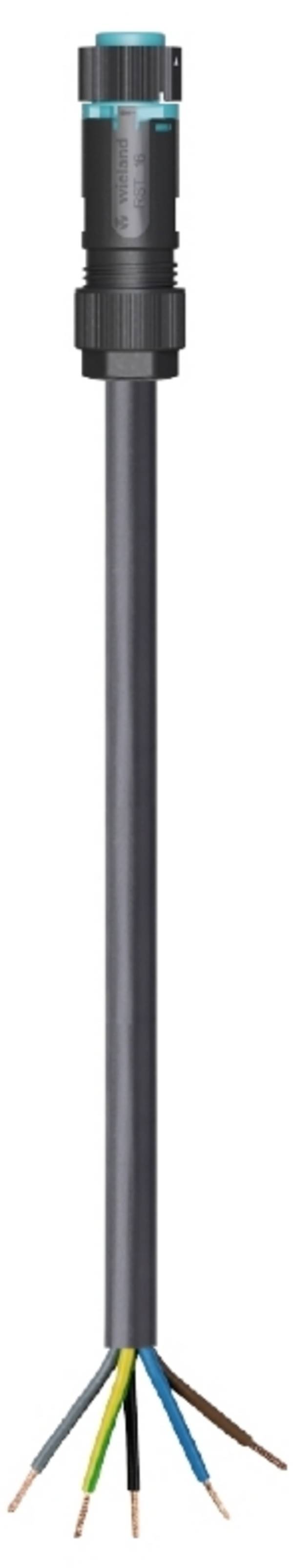Wieland Electric 46.453.2033.6  priključni kabel  crna 2 m