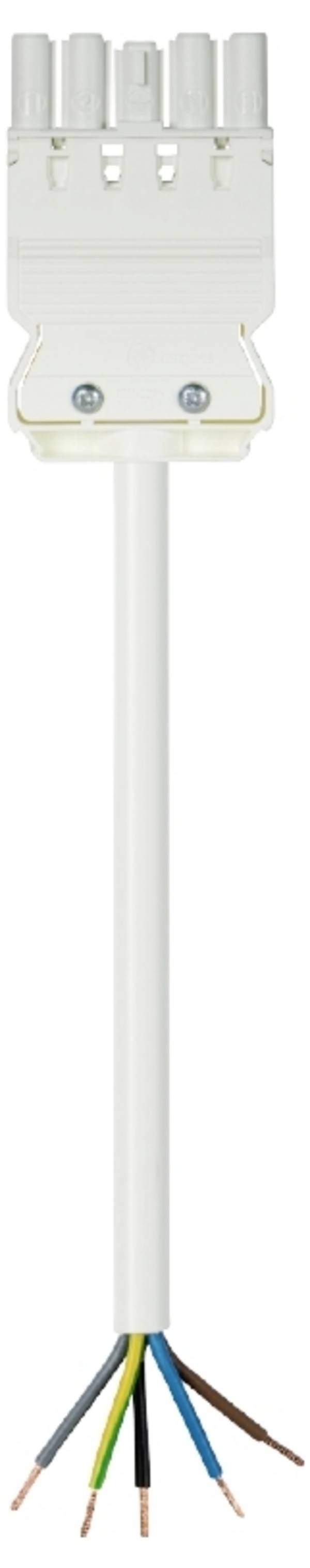 Wieland Electric 92.258.6063.2  priključni kabel  bijela 6 m