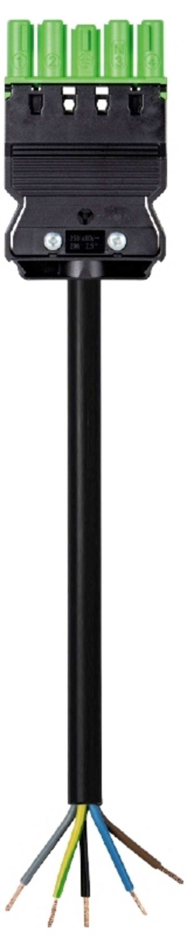 Wieland Electric 92.257.3003.7  priključni kabel  crna 3 m