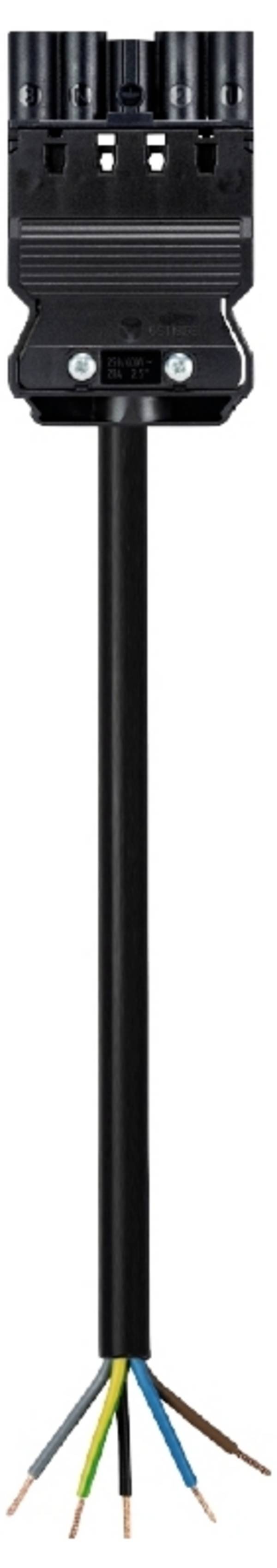 Wieland Electric 92.257.3004.1  priključni kabel  crna 3 m