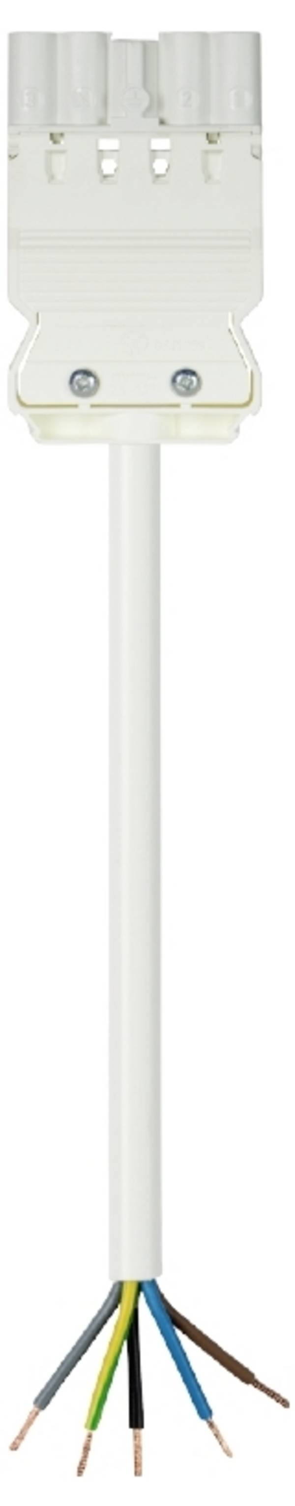 Wieland Electric 92.257.8064.2  priključni kabel  bijela 8 m