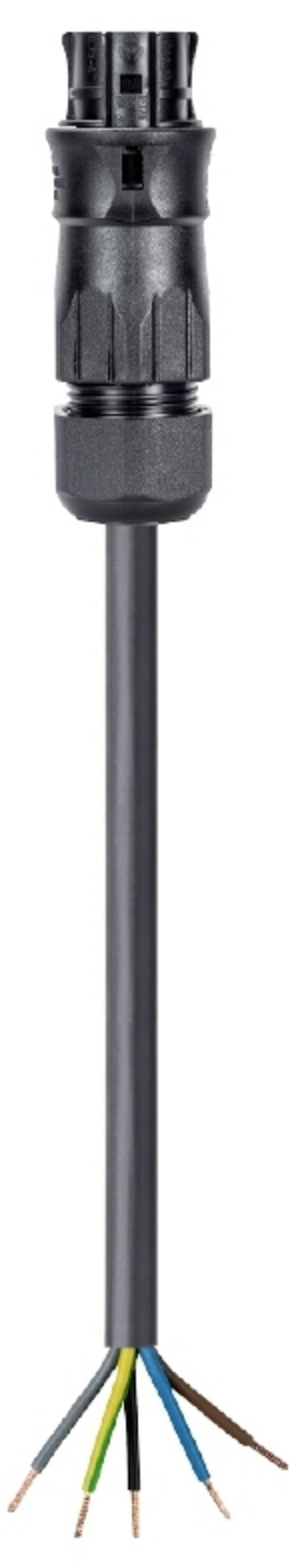 Wieland Electric 96.454.4033.1  priključni kabel  crna 4 mm