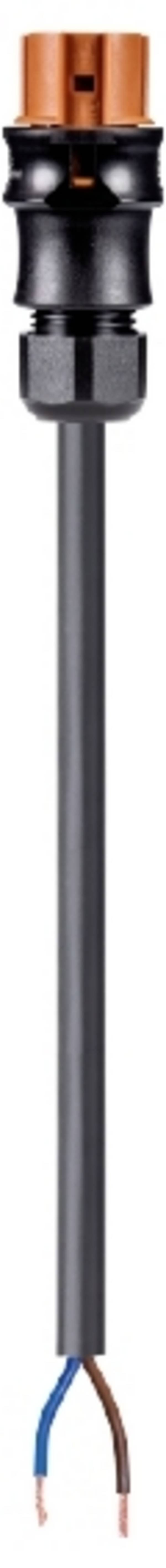 Wieland Electric 96.522.6007.4  priključni kabel  crna 6000 mm