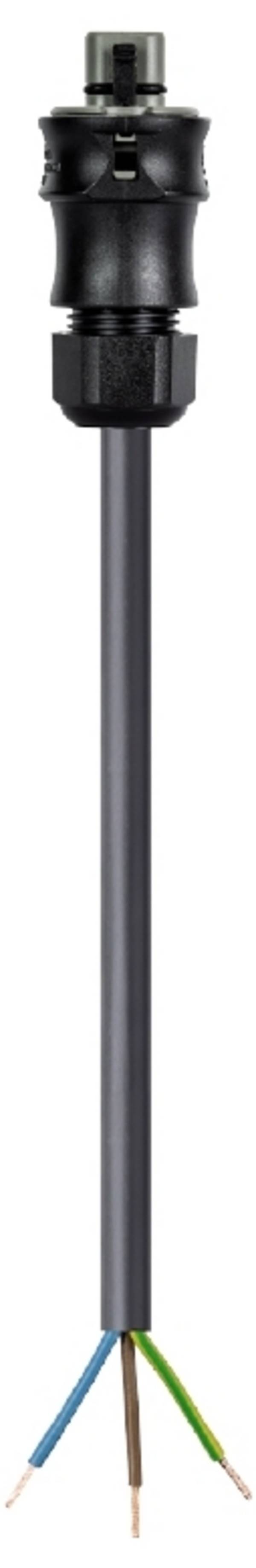 Wieland Electric 96.834.2004.3  priključni kabel  crna 2 mm