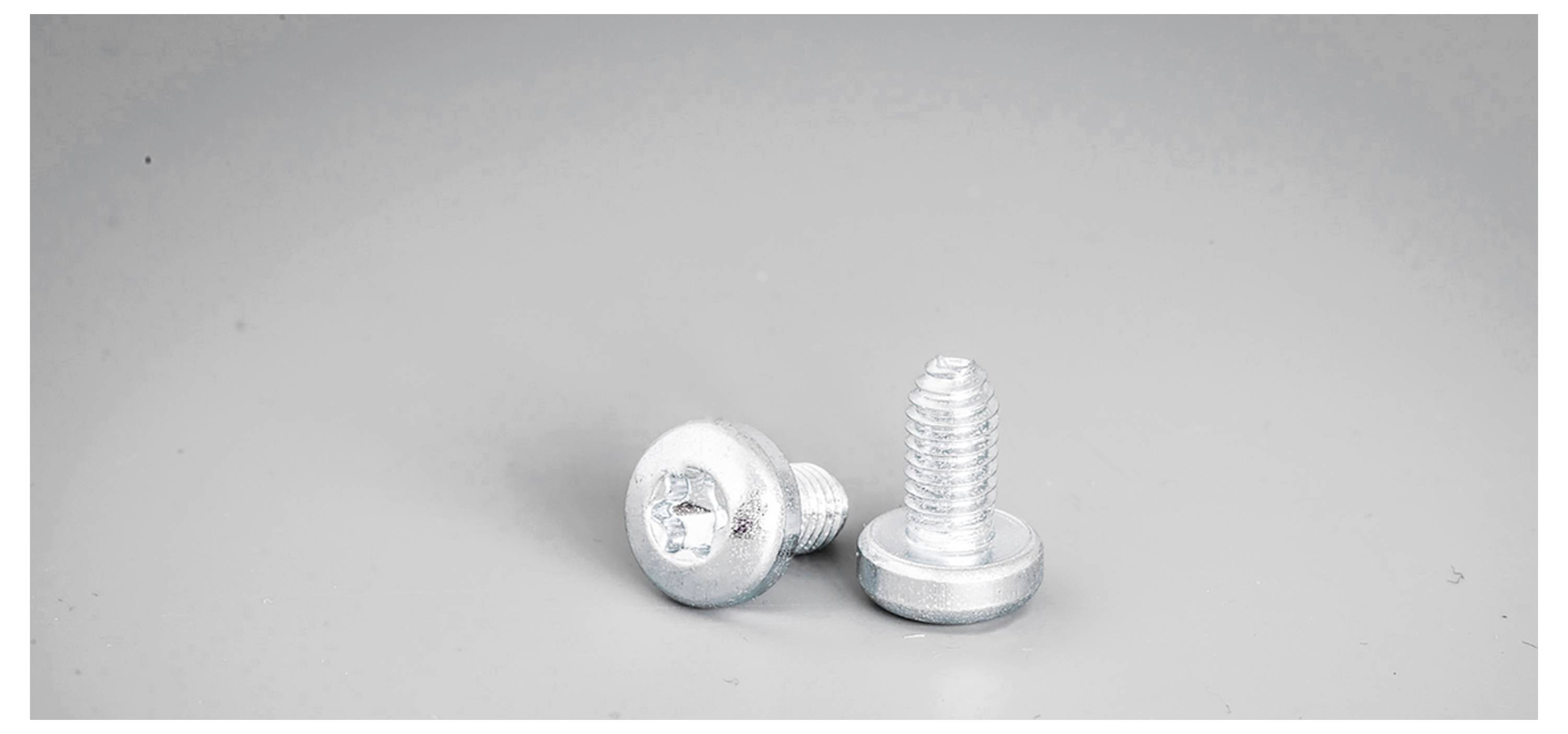 nVent HOFFMAN CNT06 (VE250) CNT06 (VE250) Schroeven Staal 250 stuk(s) Piece
