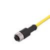ifm Electronic E10189 priključni kabel 1/2" žženski konektor, ravni 2 m Broj polova: 3 1 St. Piece