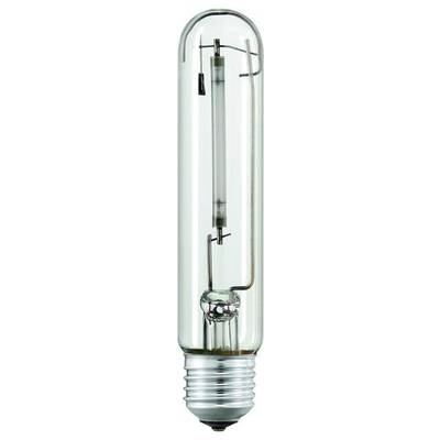 Metalna halogena lampa s prozirnim staklenim kućištem i vidljivim filamentima.