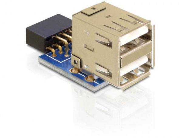 Delock USB 2.0 adapter [2x ženski konektor USB 2.0 tipa A - 1x 9-polni muški konektor za za matičnu ploču] 41825 0.003 m