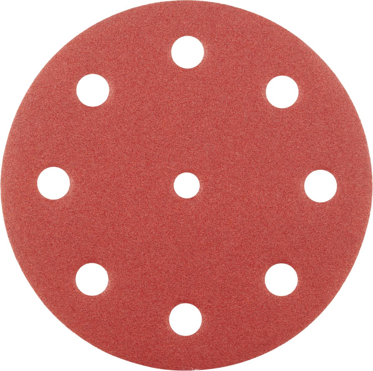 Rhodius 305611 Rhodius KERR V F, 50 stuks klittenbandschijf 125 mm, vorm CK 00, korrel 180, ProLine, voor roestvrij staal, staal, hout 125 mm 50 stuk(s)