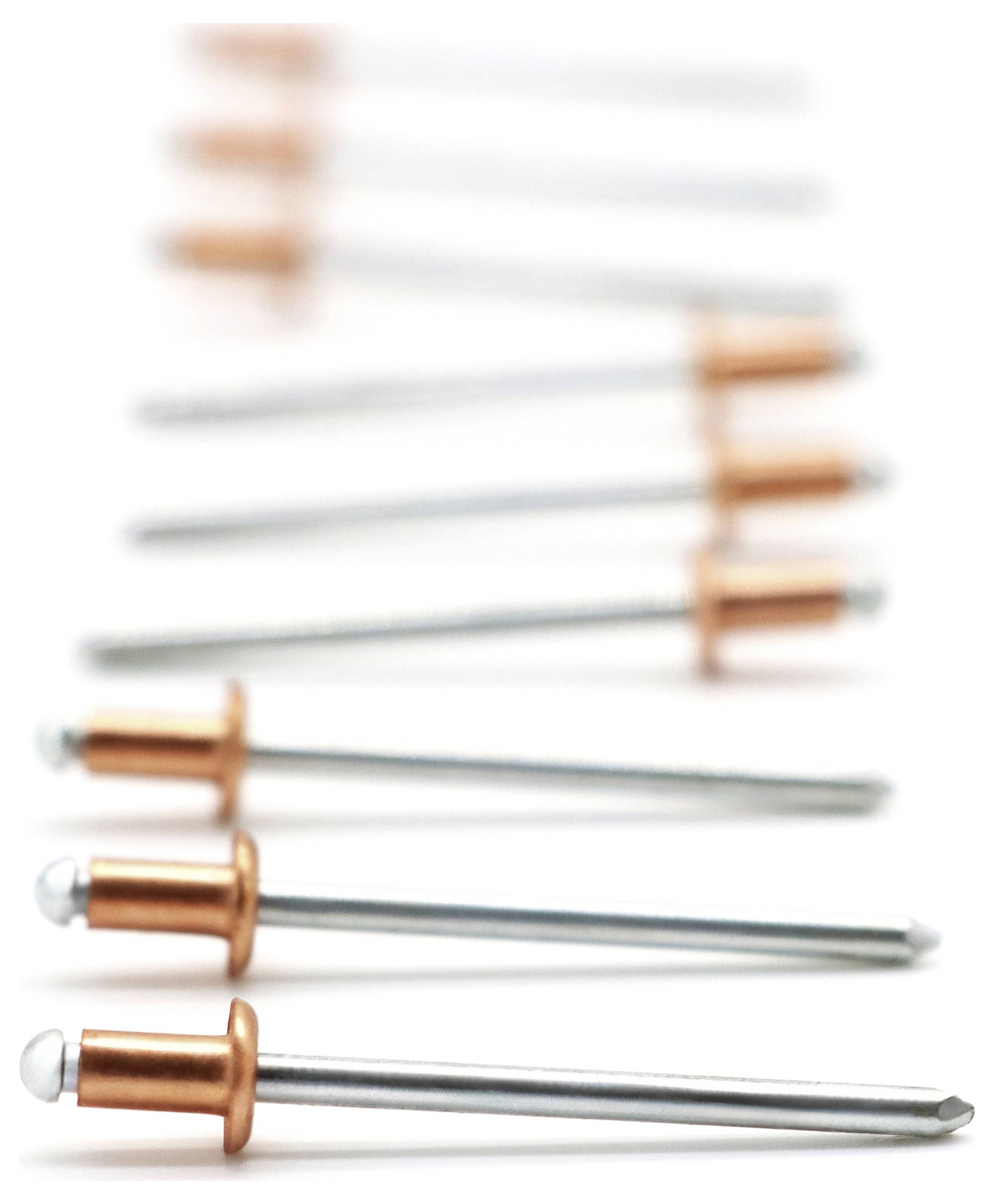Različiti srebrni čavli s bakrenastim glavama u nejasnom rasporedu, fokus na prednje čavle.