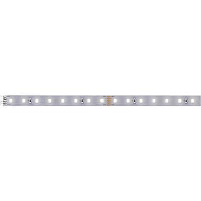 Paulmann MaxLED 500 71240 LED traka 24 V/DC 1 m neutralna bijela 1 St.-0