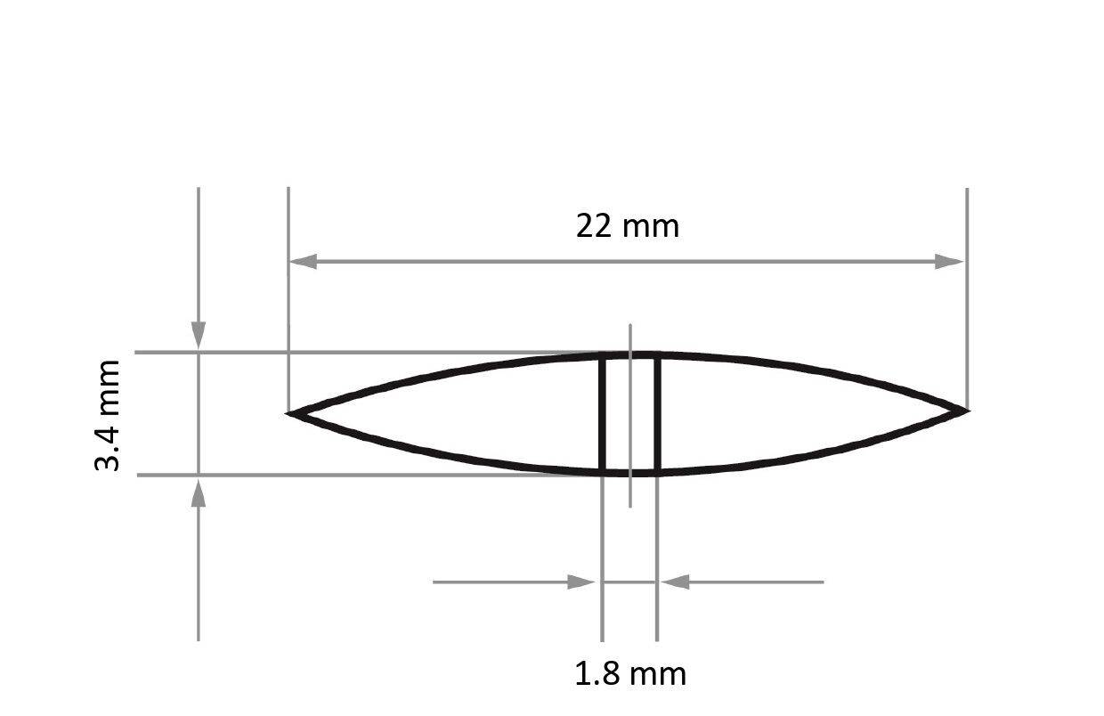 LUKAS-ERZETT A2950000105007 leća za poliranje promjer 22 mm 100 St.-1