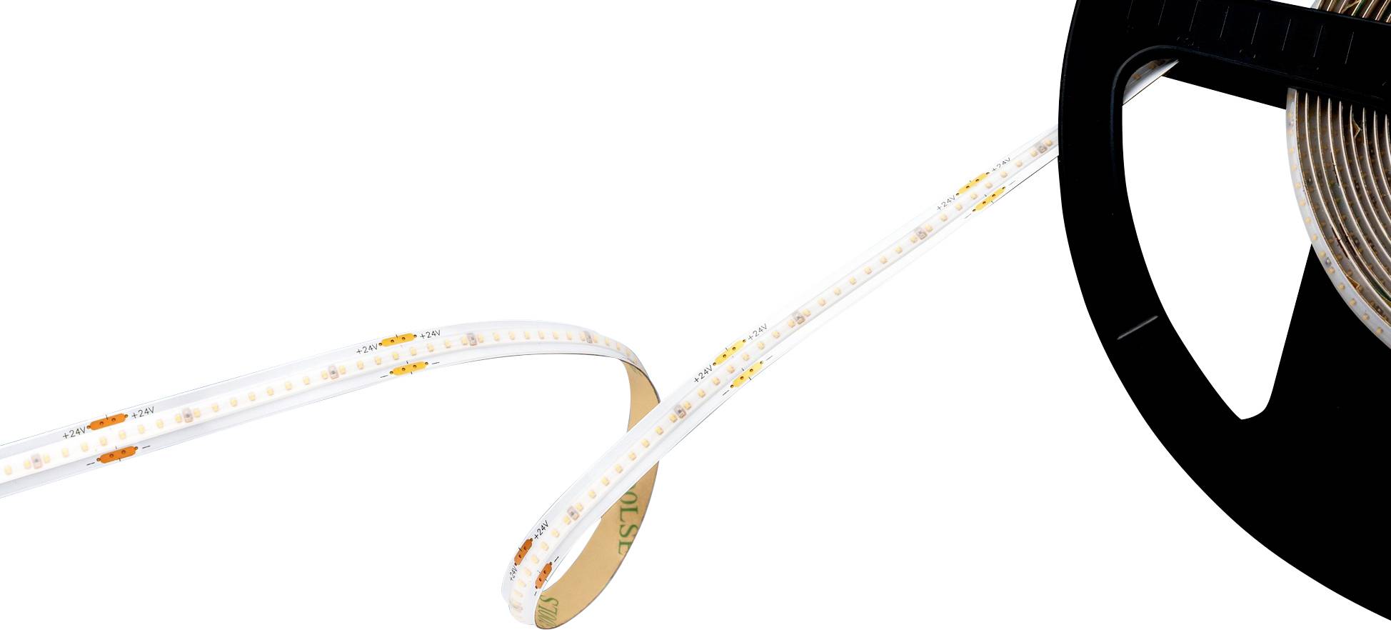 Barthelme 51542740 LED-strip Met soldeeraansluiting 24 V/DC 5000 mm Koudwit 5 m