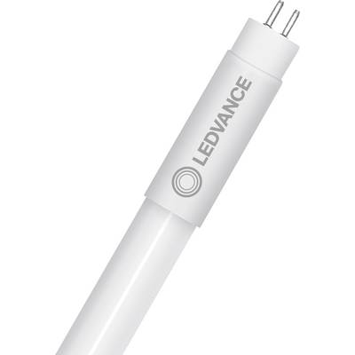 LED cijev za osvjetljenje, brendirana kao 'LEDVANCE', prikazuje dio cijevi i kontaktne pinove na bijeloj pozadini.