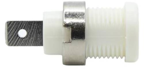 Mueller Electric BU-31610-9 Banaanbus Bus Stift-&Oslash;: 6.4 mm Wit 1 stuk(s)