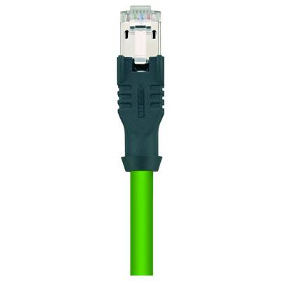Zeleni Ethernet kabel s prozirnim plastičnim RJ45 konektorom na kraju.